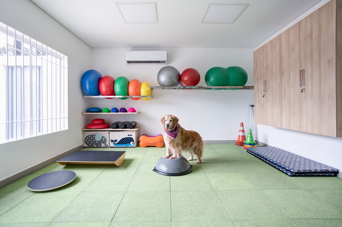 Professional pet boarding service