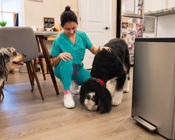 The Vet Visit Guide: How to Prep, What to Expect, and How to Get the Most Out of It