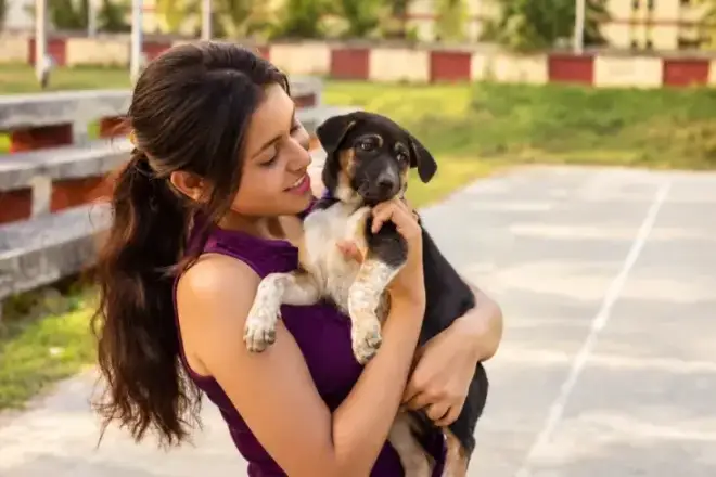 First Week Guide: What to Expect After Bringing Your New Pet Home