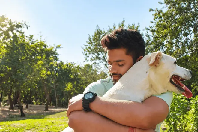 How to Keep Track of Your Pet's Medications Without Missing a Dose